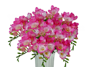 Фрезия розовая